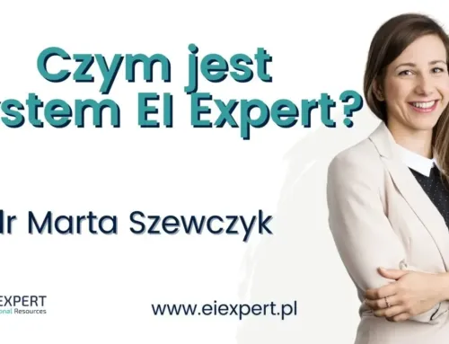 Czym jest System EI Expert?