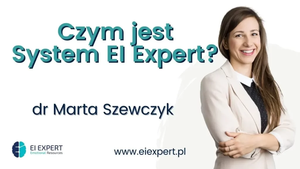 Czym jest system EI Expert?