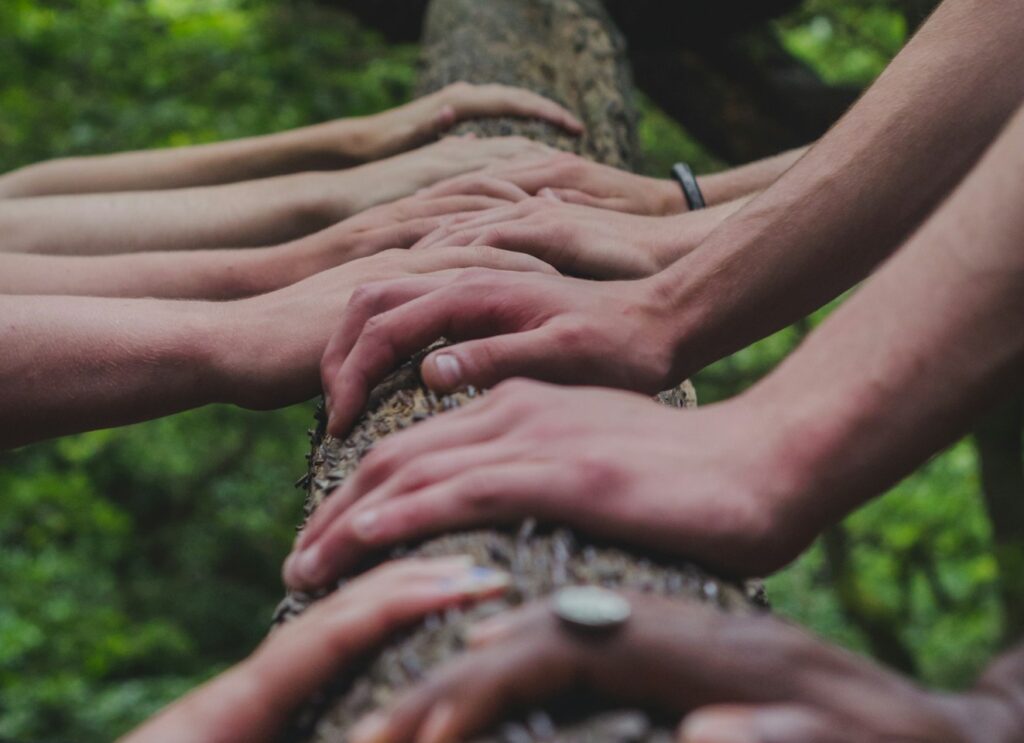 a group of people holding hands on top of a tree