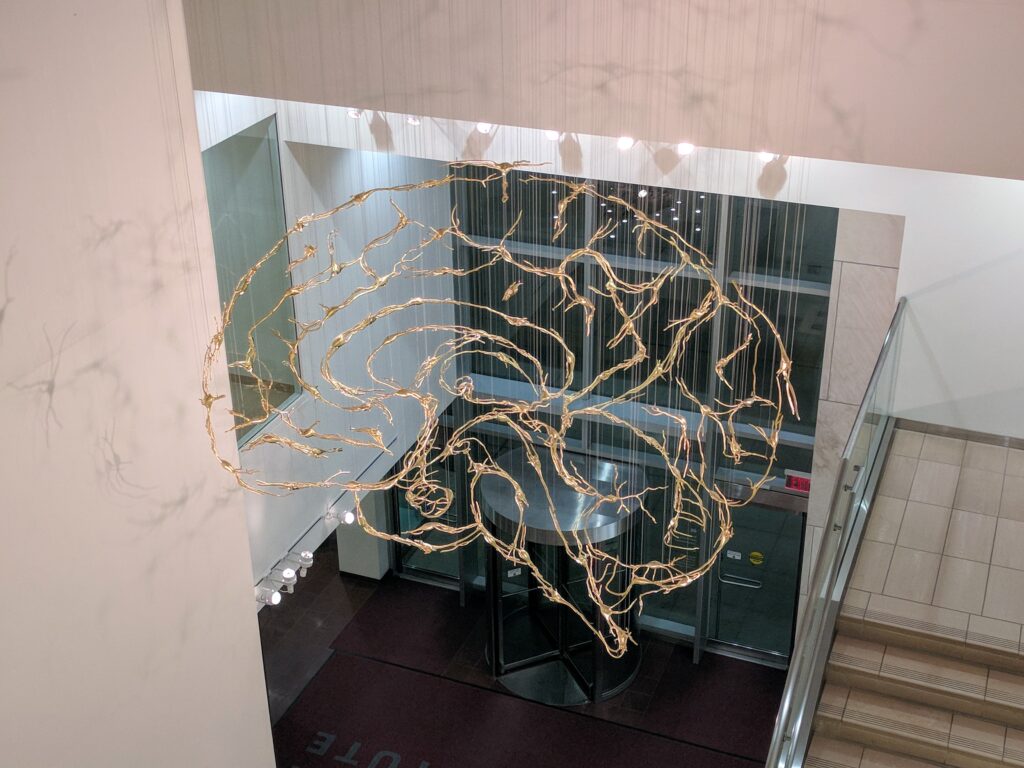 medytacja_Nauka weryfikuje