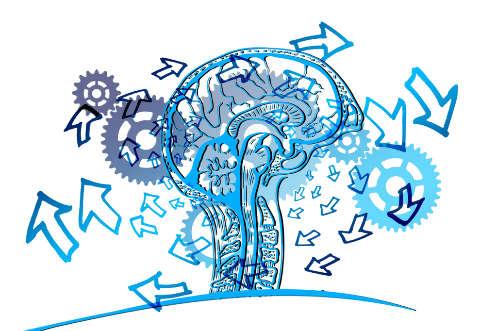 gear, arrows, idea, direction, brain, thinking, thought, management